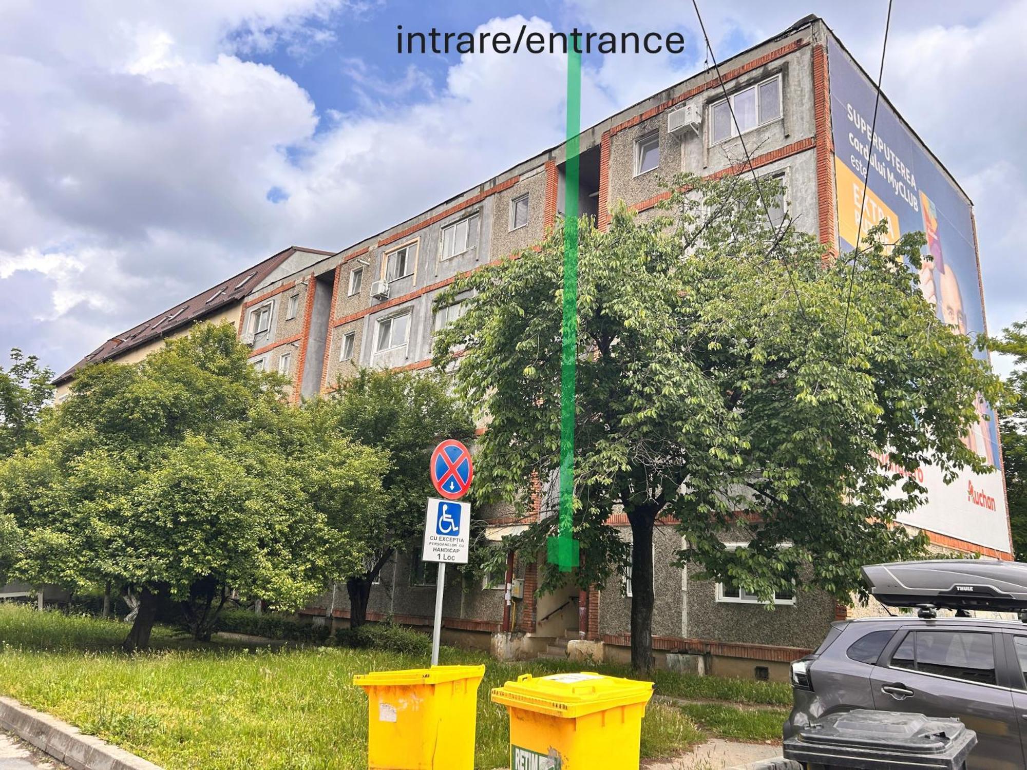 Lili * Timisoara